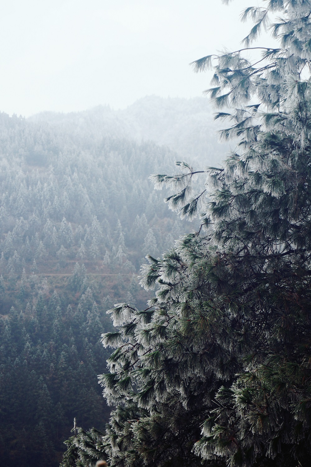 MAXWINLOVE｜1600公里，为爱前行