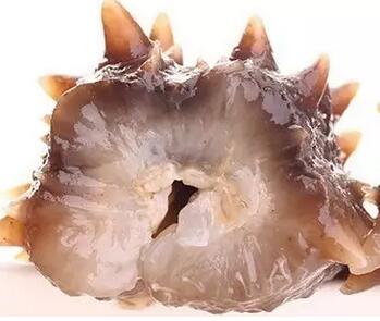 你知道世界上的鱼类有多少个,你知道的海底世界有多少种鱼