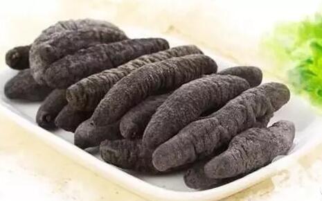 带您了解世界海参,你知道全球有多少种鲨鱼吗