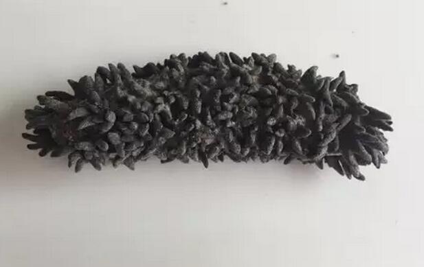 你知道世界上的鱼类有多少个,你知道的海底世界有多少种鱼