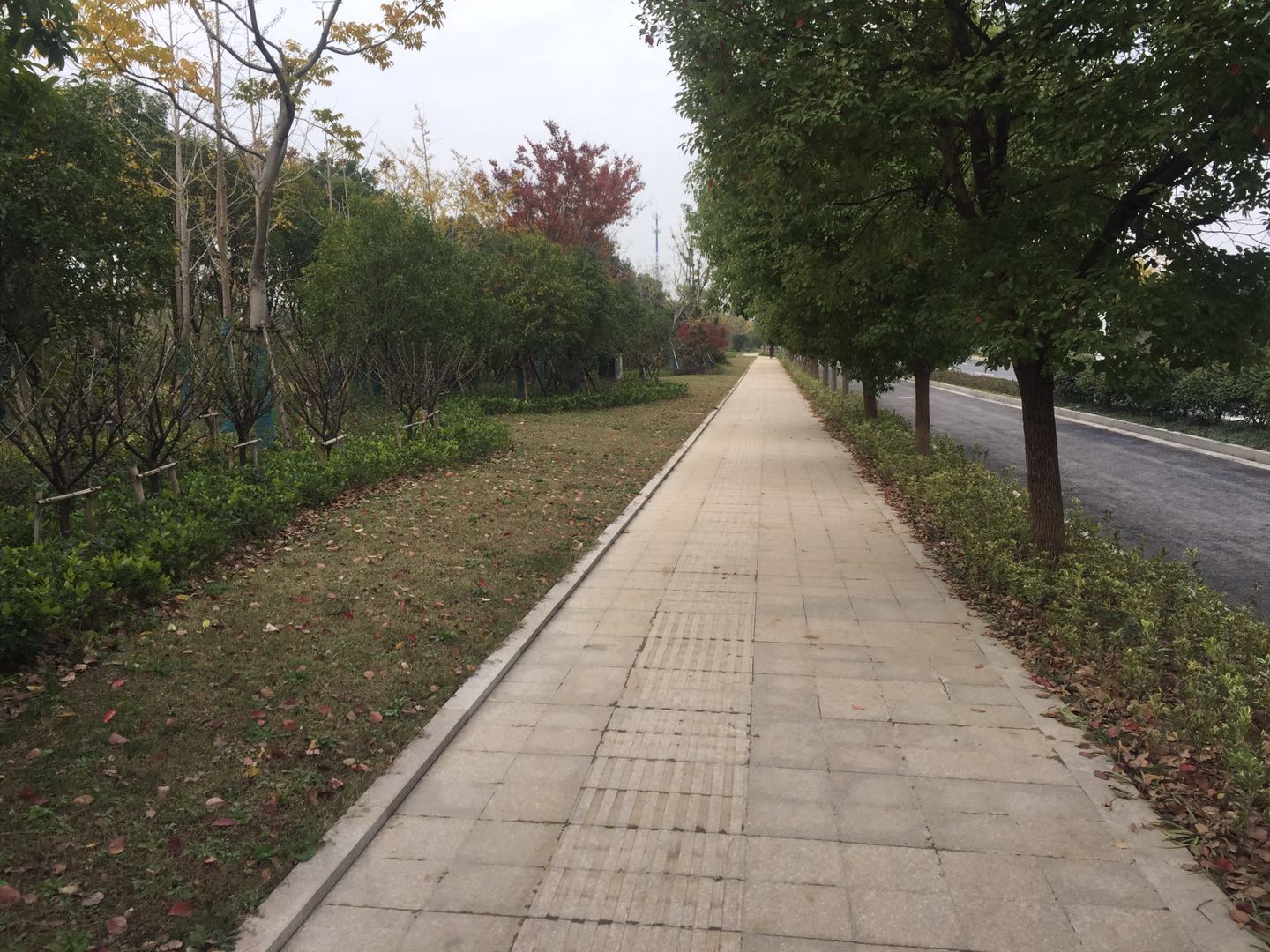 「*今条头日**」北京城建道桥人：当好大美湖州的艺术大师