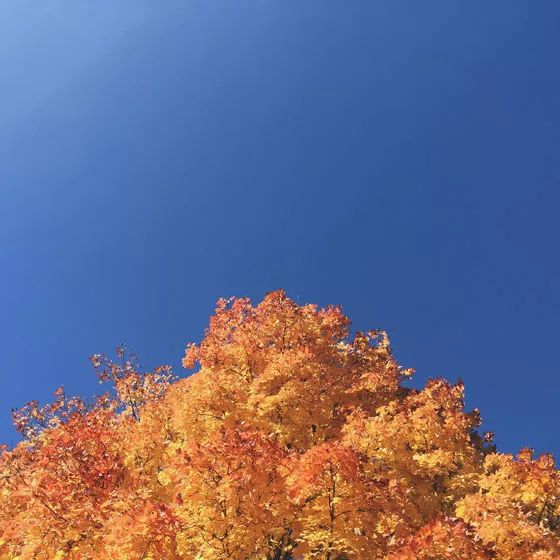 手机摄影创作方法,手机摄影构图的十七种方法