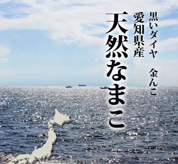 海参也有很多种,全世界所有可以吃的海参