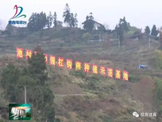 周口龙口池村新气象,努力实现产业兴乡村美村民富