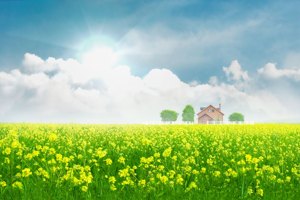 古诗词中关于惜时的,惜春惜时作文