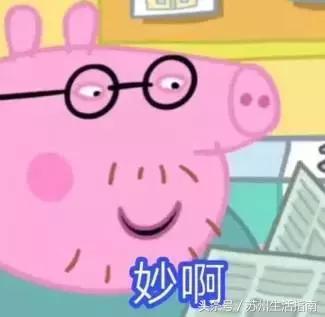 苏州市上学,苏州入学政策2024五年一学位