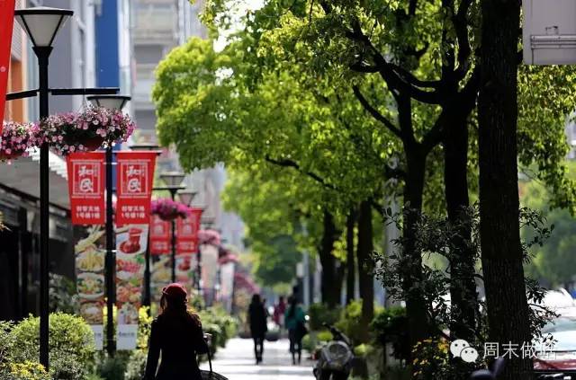 魔都最值得逛的76条马路,你都逛过了吗?