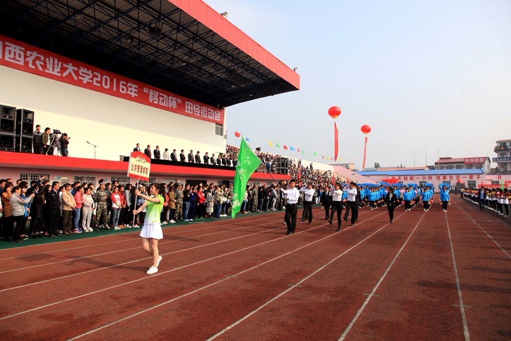 盘点校运会的开幕式,盘点各校运会开幕
