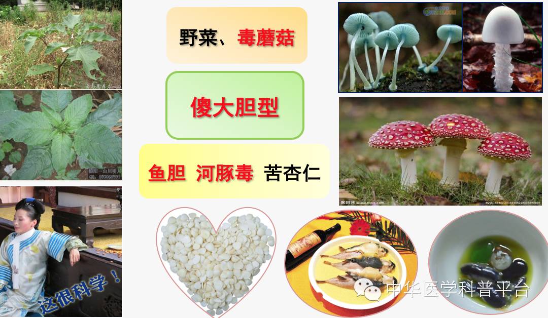 生活中哪些容易中毒,生活中各种食物中毒的表现