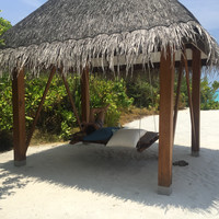 马尔代夫神仙珊瑚岛攻略,马尔代夫神仙珊瑚岛视频