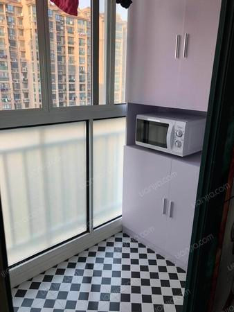 莘闵别墅区两室一厅租,上海莘闵别墅288平方