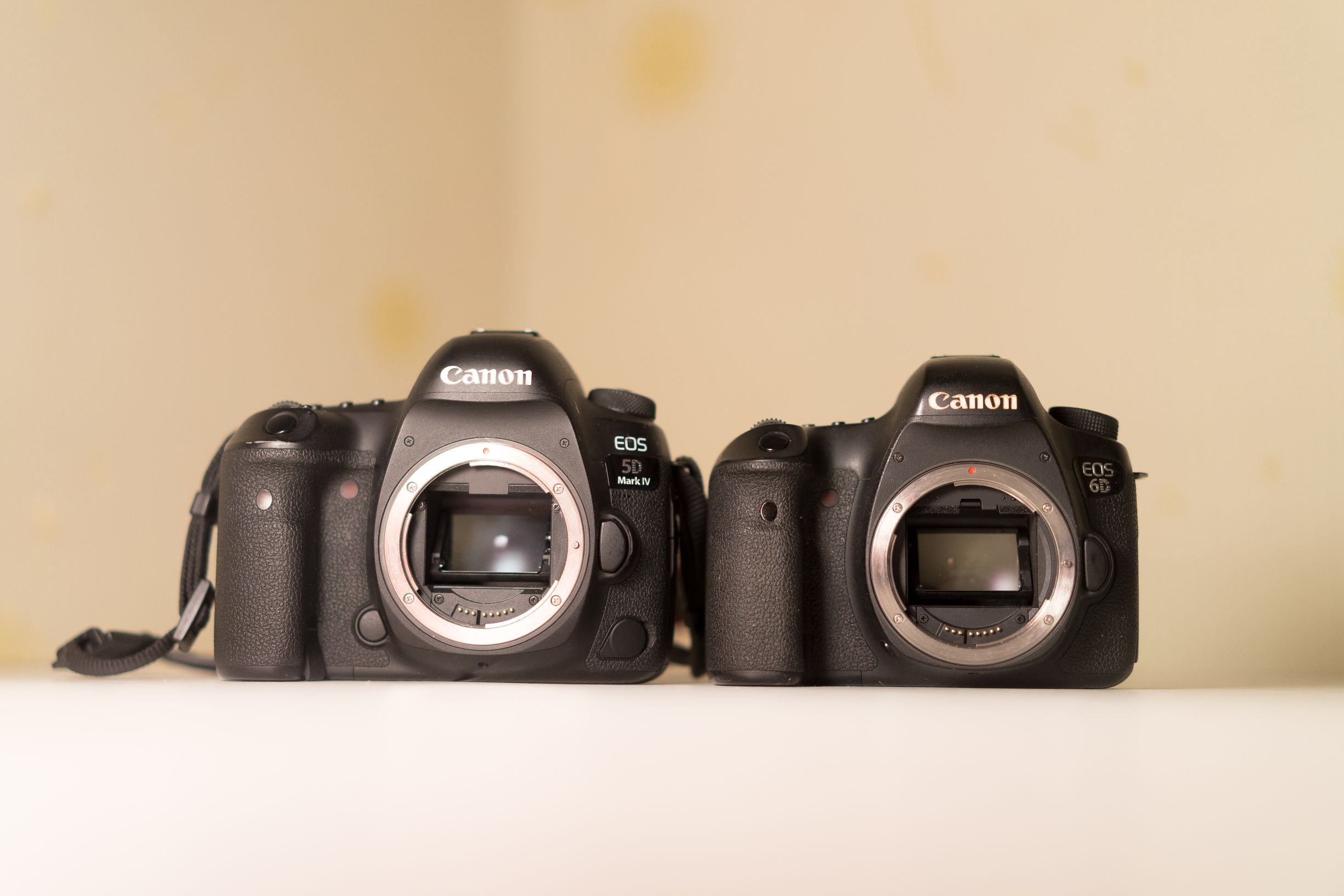 佳能6d2与佳能5d4哪个更好,佳能5dmarkii和6d有什么区别