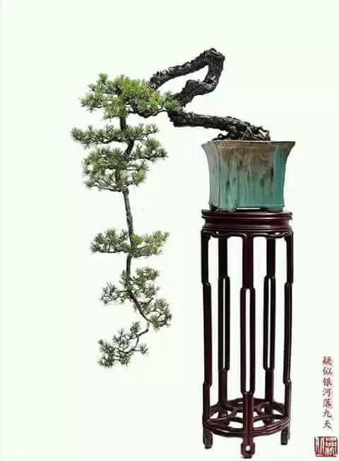 大师是怎么炼成的免费,真正的大师是怎么练成的