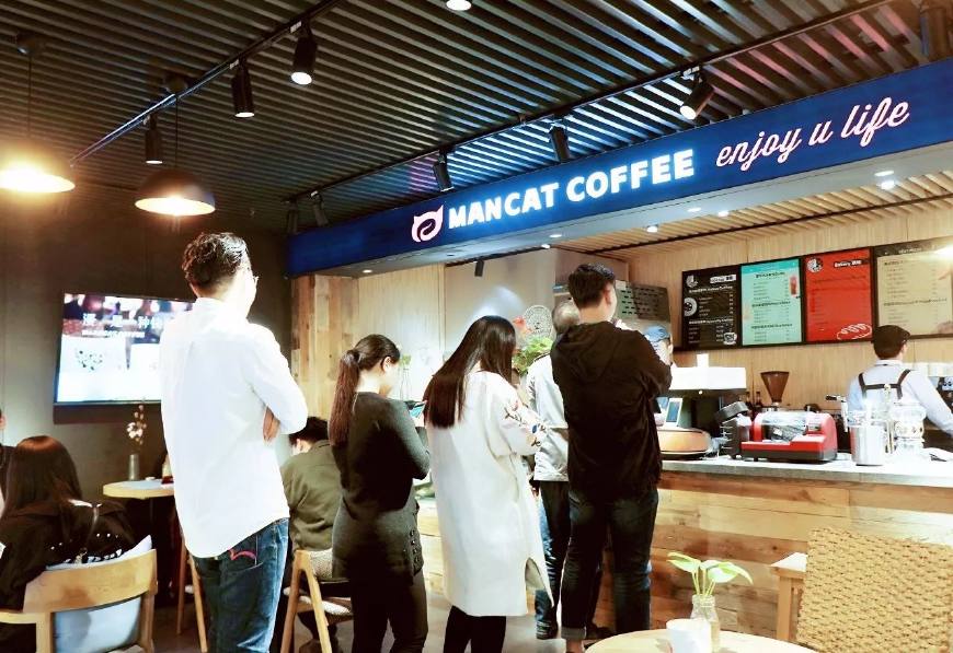 漫猫咖啡:小门店微投资,为你量身打造的偶像级猫星咖啡馆