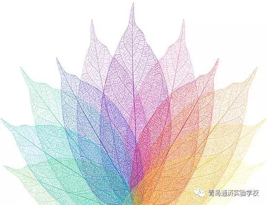 青岛通济实验学校2013级,青岛通济实验学校小习惯大未来