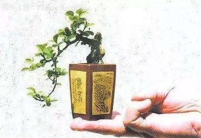 大师是怎么炼成的免费,真正的大师是怎么练成的