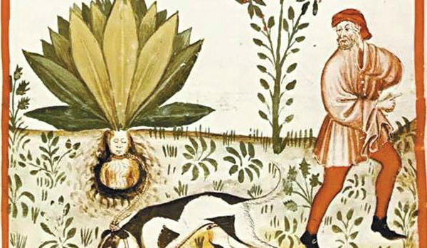 凡人修仙传云露老魔结局如何,凡人修仙传韩老魔几次散功才成功