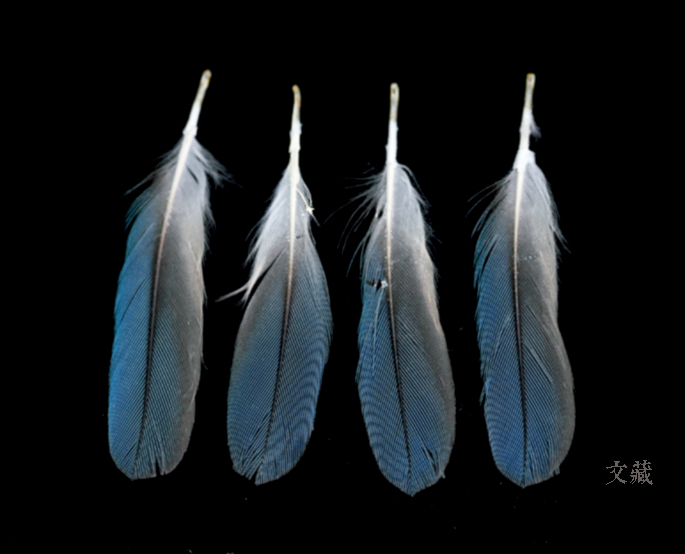 清代宫廷点翠首饰,清代宫廷点翠