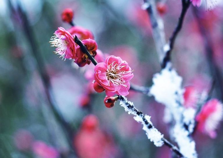 诗词喝火令词牌,诗词喝火令