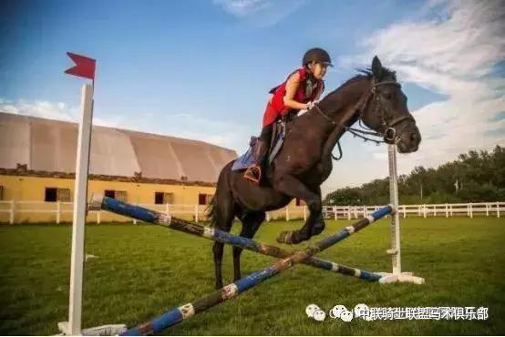 骑马闯天涯,骑马闯荡天涯