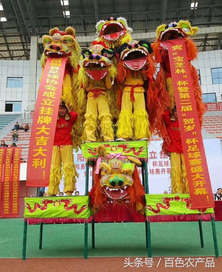 田阳足球队,田阳足球