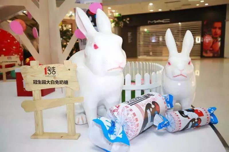 我有兔子你有空吗？来呀，一起喂兔兔呀