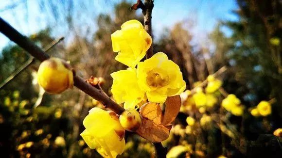 再上22天班，郑州人集体放假！做完这16件事，就过年啦！