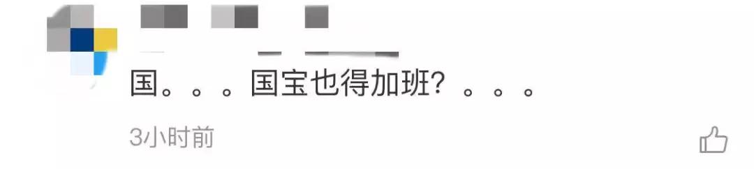 我国国宝大熊猫被外国租借有多难,日本大熊猫悲惨生活