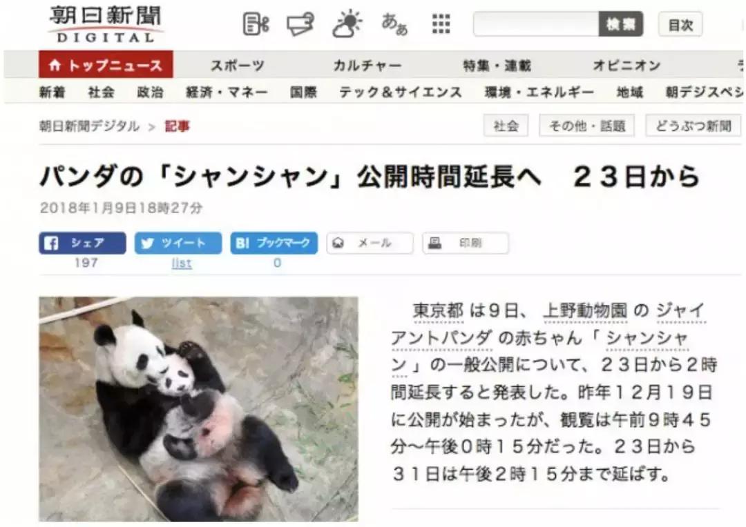 我国国宝大熊猫被外国租借有多难,日本大熊猫悲惨生活