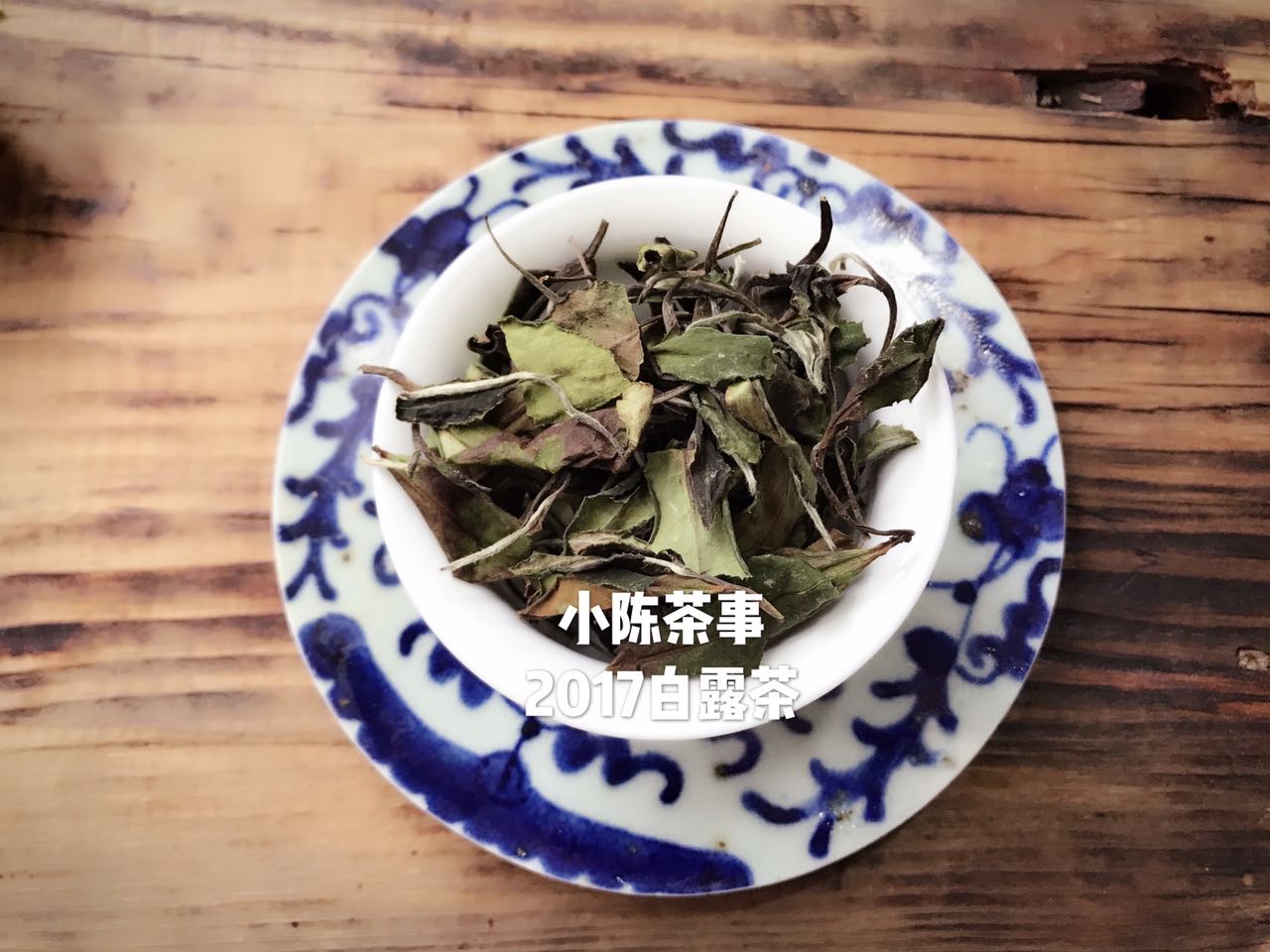 白茶怎么选白茶代表品种有哪些,普洱白茶叶底绿色和褐色哪种好