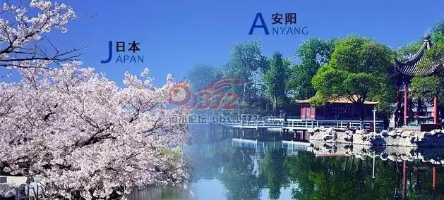 美哭了！当安阳与世界“相遇”