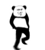 每只黔猴都需要一包“去污粉”