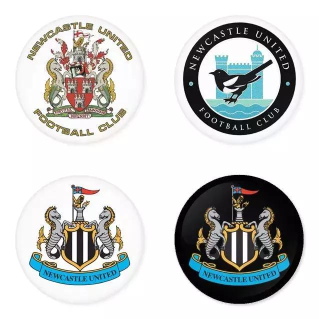 海鸥老鹰孔雀,海鸥老鹰