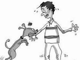 男童遭7只恶犬撕咬,小男孩被三条恶犬咬目前情况