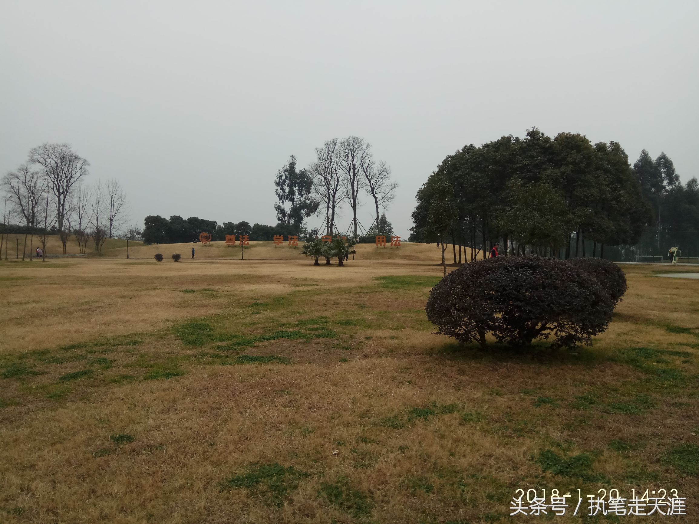 摇房的战友们，随我一起去踩盘——龙泉驿区东城之星观邸