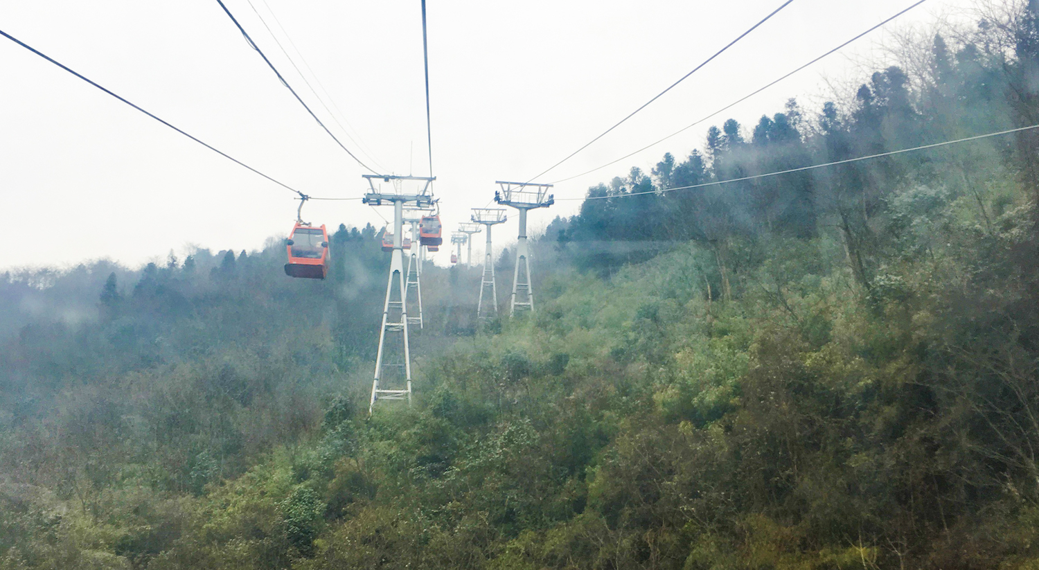 成都娱乐新鲜事,成都热门新鲜事