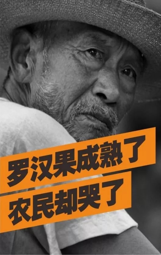 爱心助农滞销果变畅销果,爱心助农行水果滞销