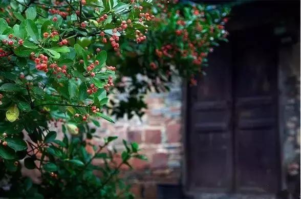 犍为县有哪些地方可以考普通话,犍为县千年古县