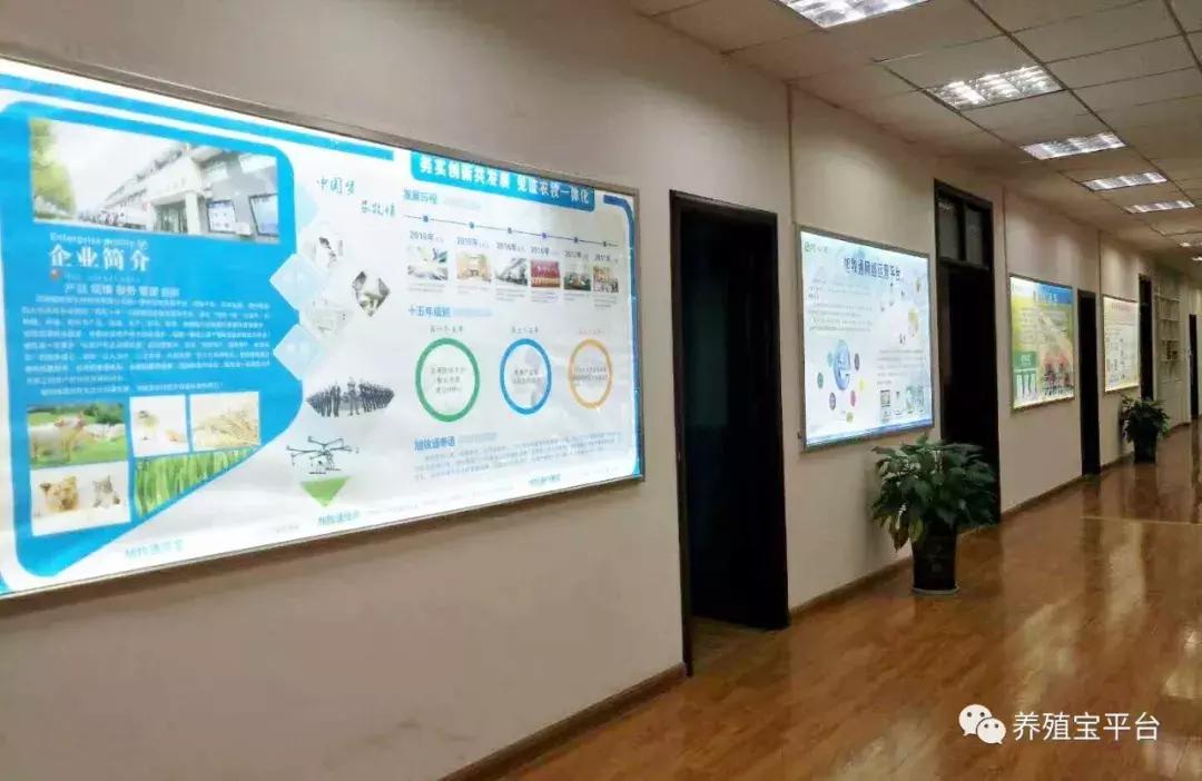 旭牧通创业,旭牧通2020年