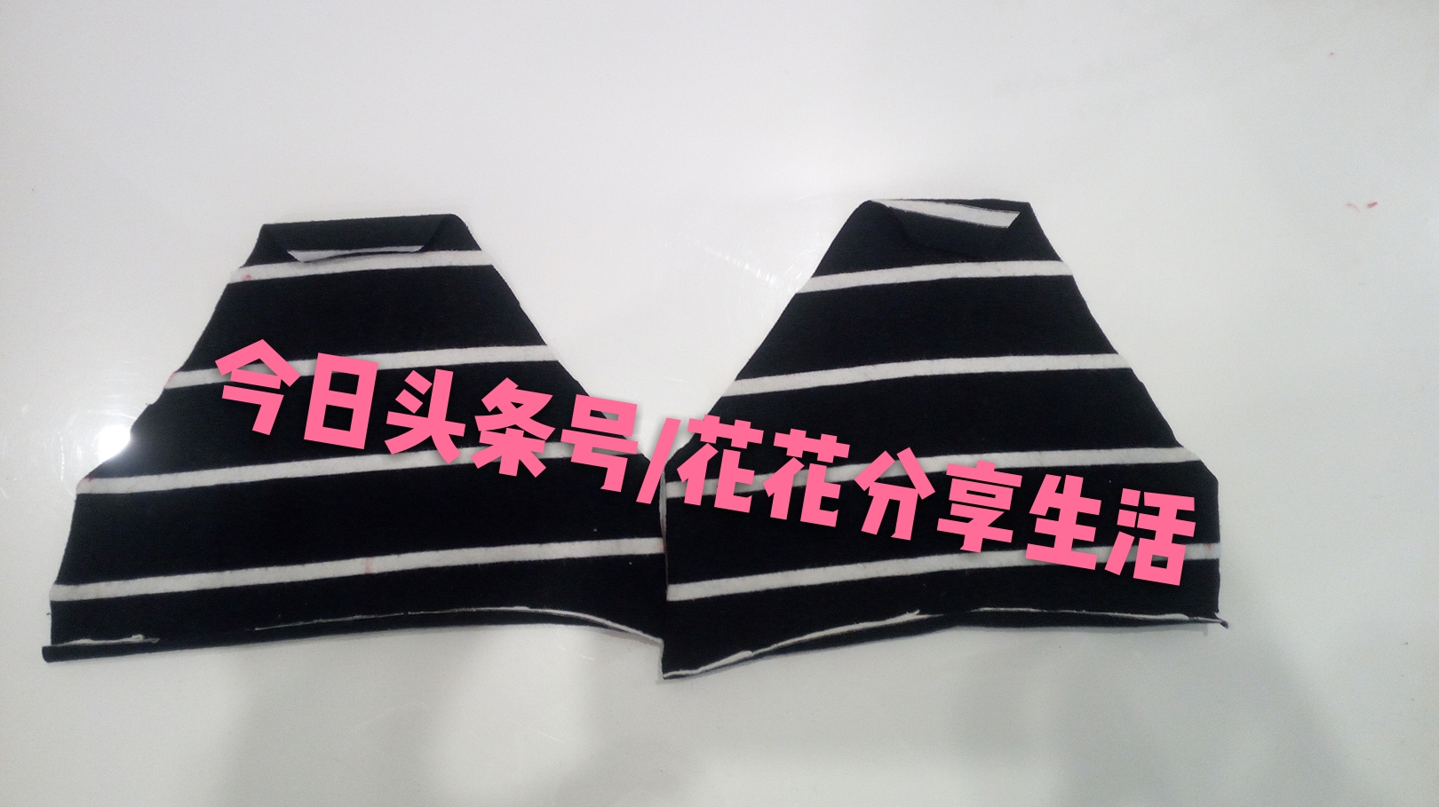 手工制作小狗衣服视频教程,怎样利用旧衣服做狗狗衣服