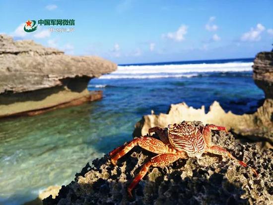 军媒刊文纪念西沙海战18烈士:甲午之后海军首胜