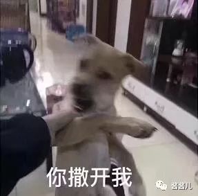 50款肌底液,40-50岁精华液推荐实测