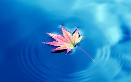 所谓的红颜和蓝颜,世上哪有蓝颜和红颜