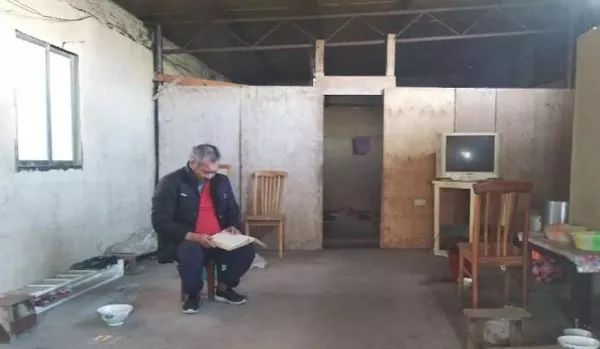 何小萍的真实结局,何小萍真相