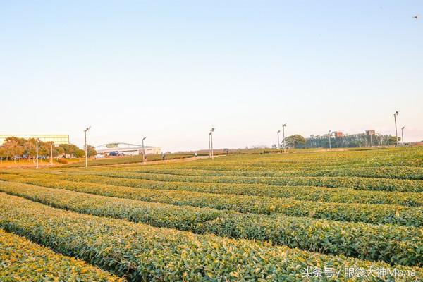 激发我的少女心，邂逅一场异国的暖冬旅行