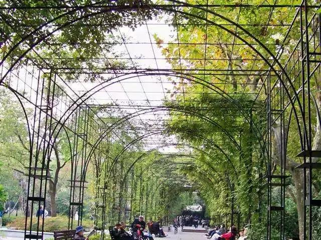 上海100个公园图片,上海有哪些免费的国家级公园