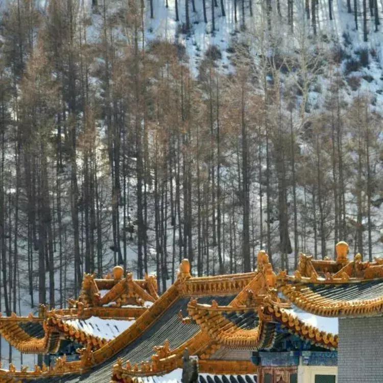 春节旅游一定要去五台山吗,今年冬天一定要去一趟五台山