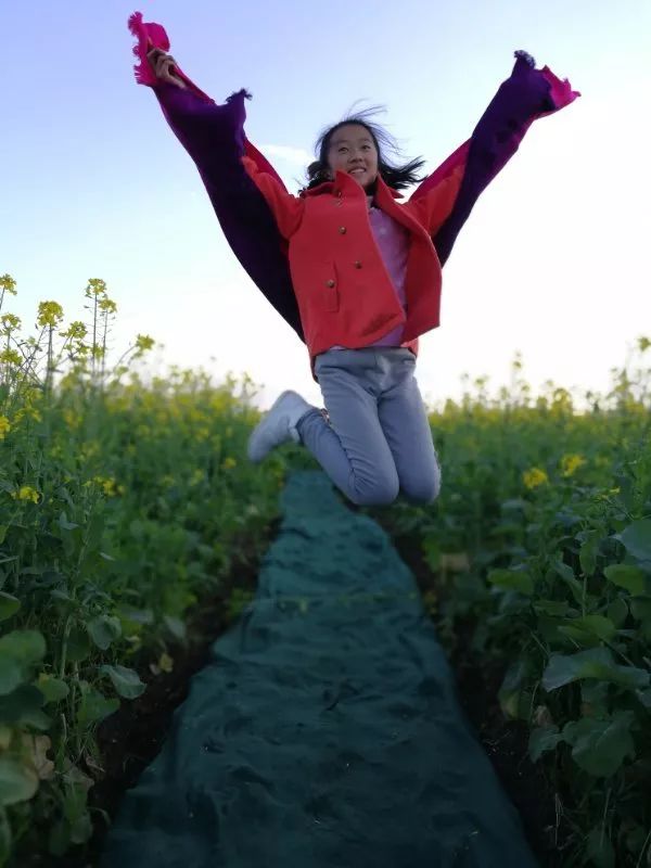 蒙自尼苏小镇油菜花,蒙自油菜花在尼苏小镇哪里