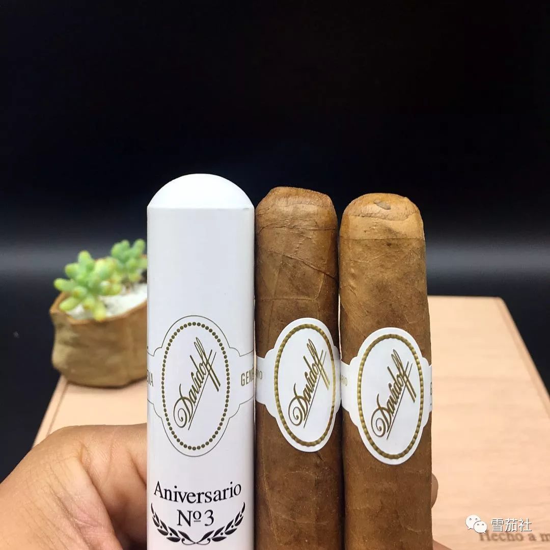 抽雪茄如何避免头晕恶心,抽雪茄晕吐怎么解决