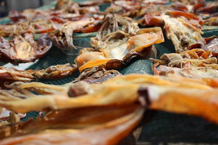 冬夜为阴中之阴之阴墨鱼养的就是身体的“血”和“阴”